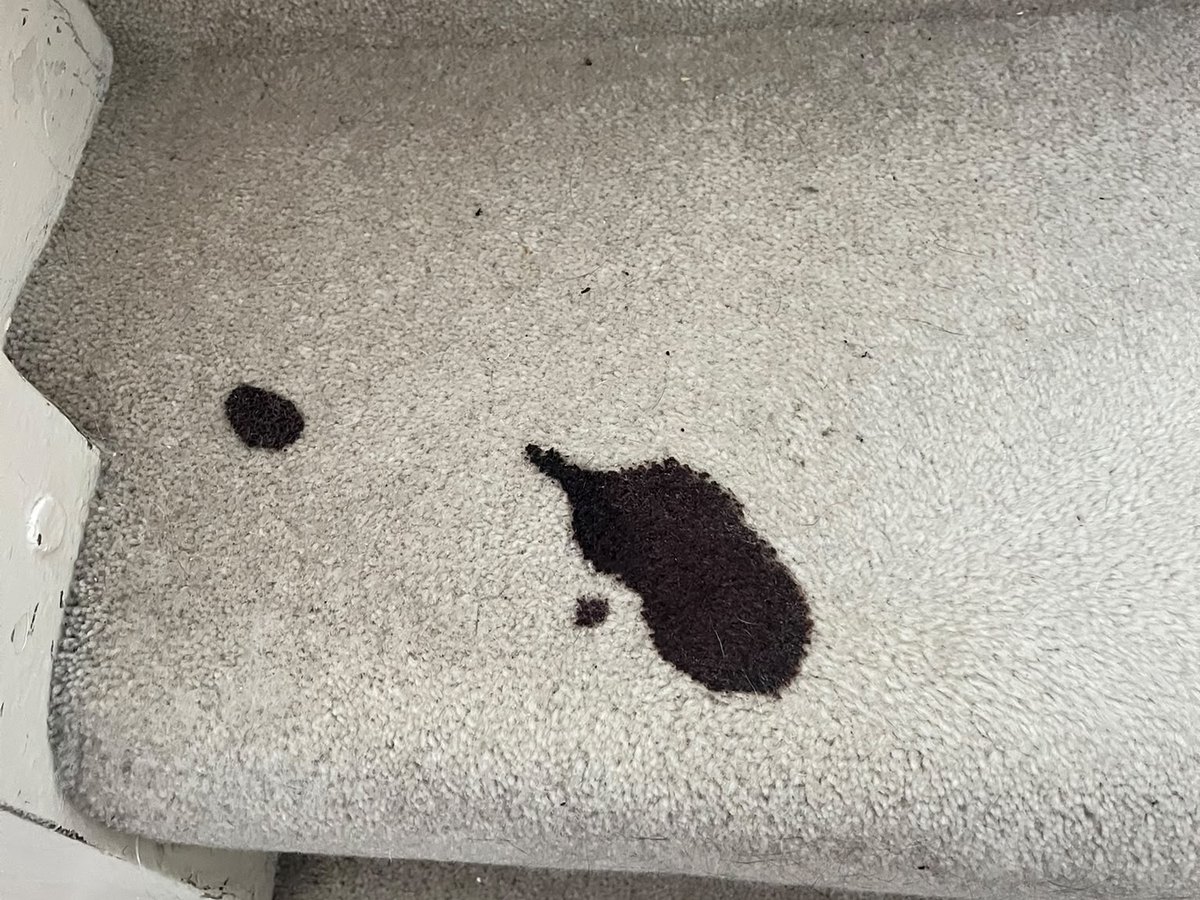 A blood stain on a grey stair carpet before cleaning by Jay's Cleaning