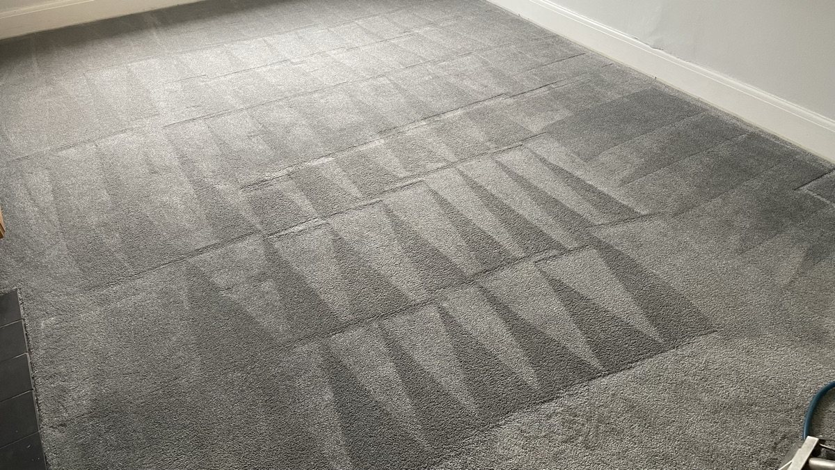 Carpet being deep-cleaned in a Watford home