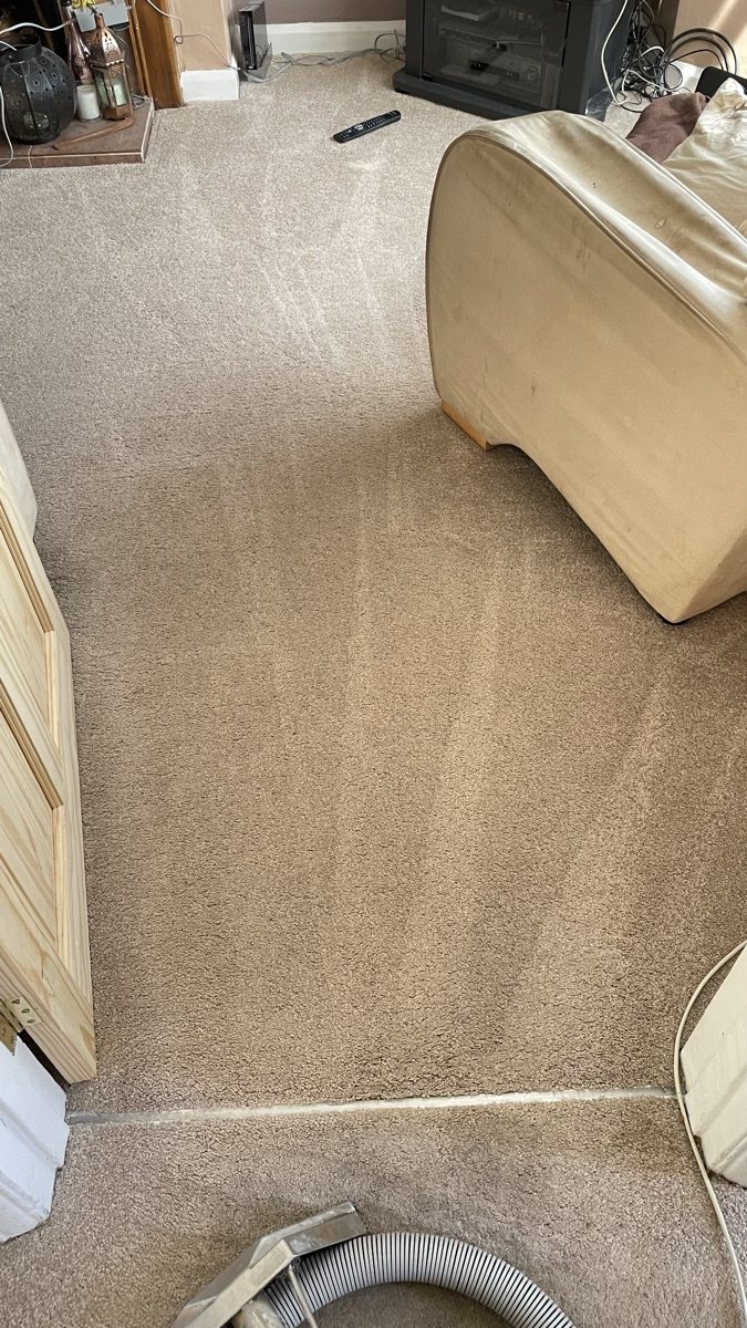 Clean bedroom carpet