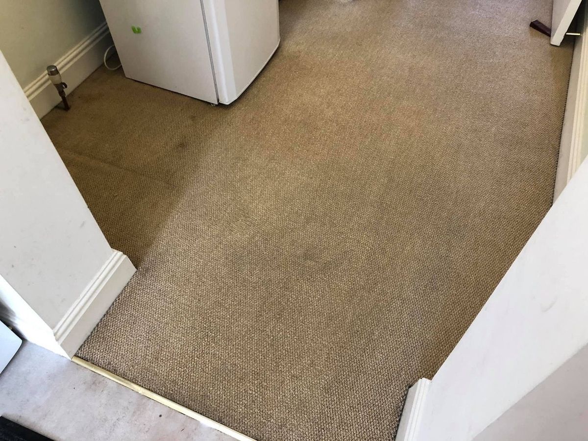 The same carpet after a deep clean — brought back to life