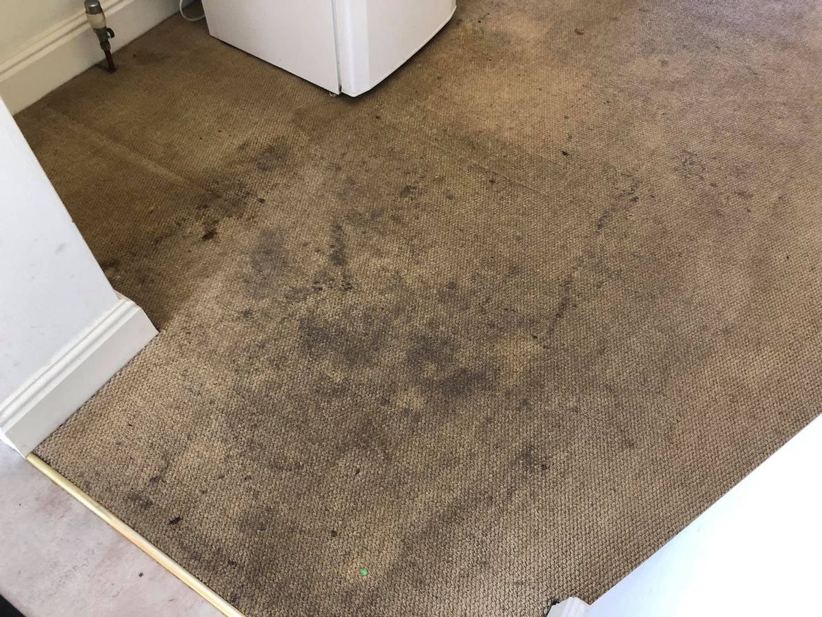 A badly soiled carpet before cleaning by Jay's Cleaning