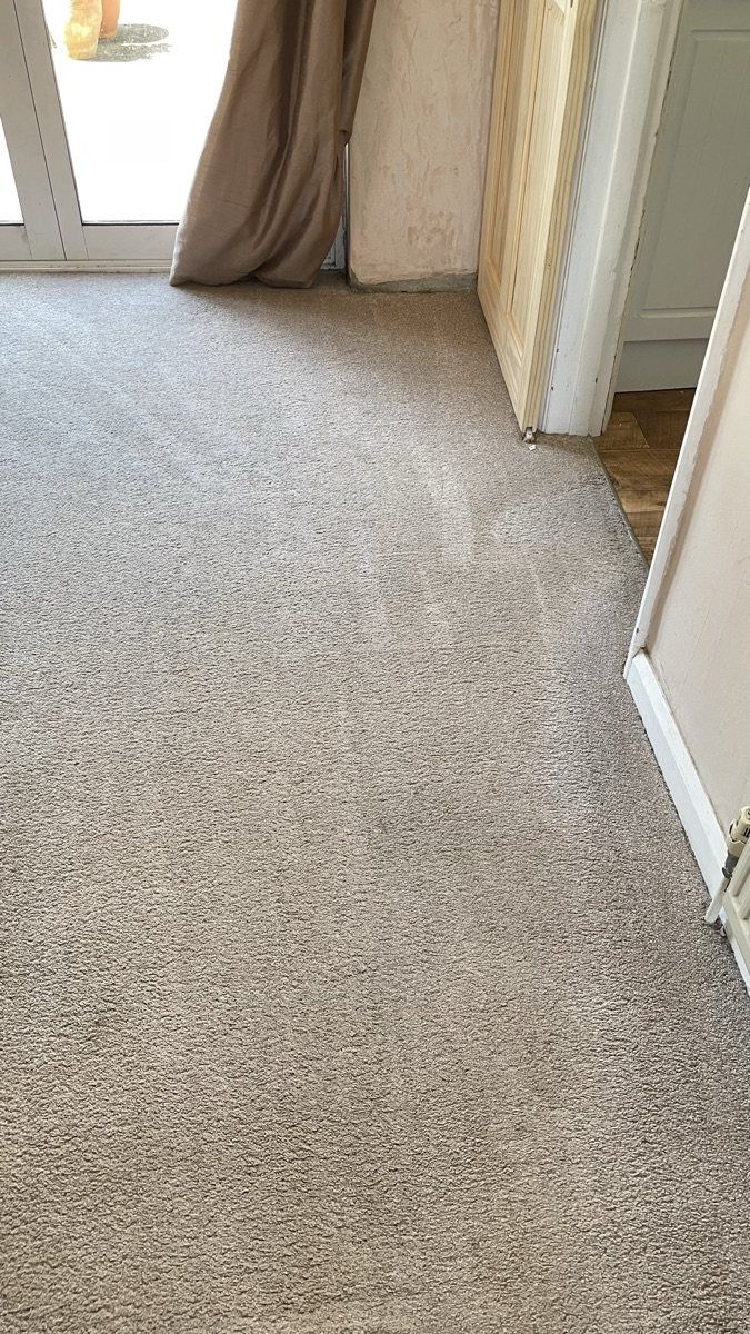 A living-room carpet freshly cleaned by Jay's Cleaning