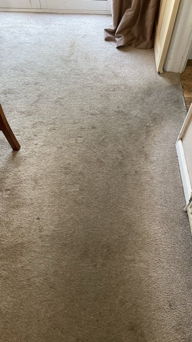 The same living-room carpet before cleaning