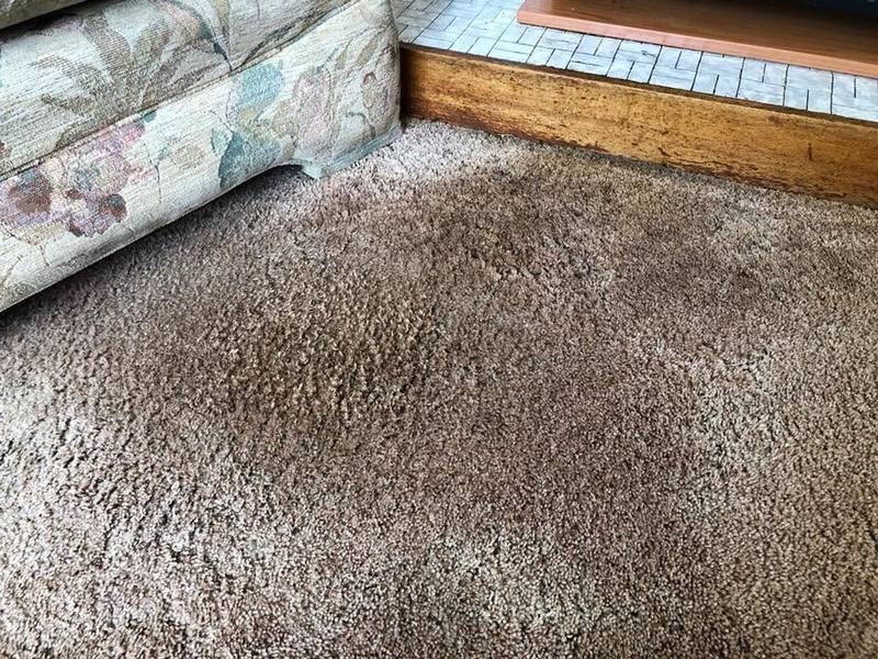 After: the same lounge carpet after our deep clean &mdash; grease gone