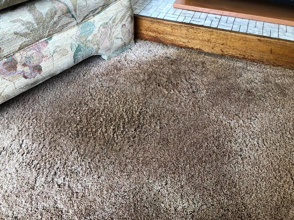 The same carpet after grease stain removal