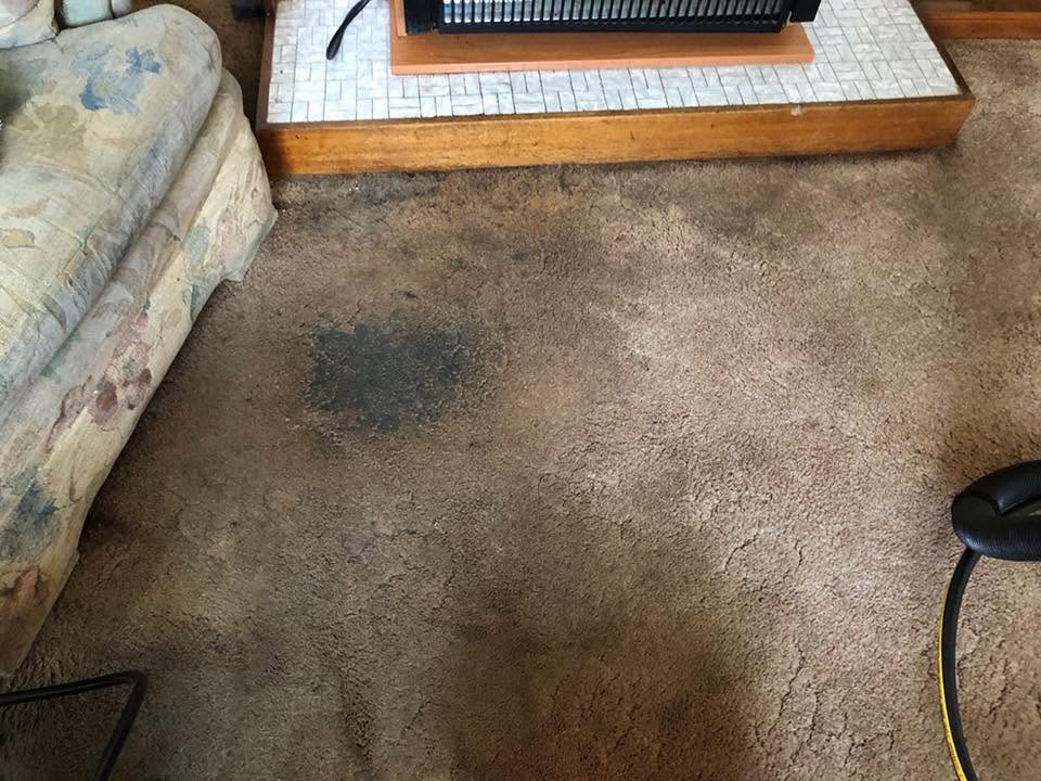 A dark grease stain on a carpet before removal