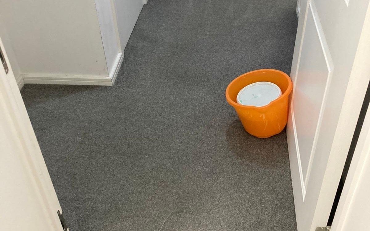 The hallway carpet after cleaning — fresh and clean