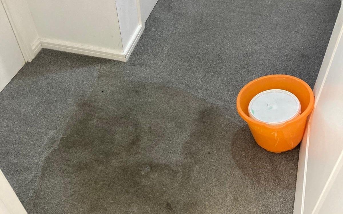 A hallway carpet part-way through cleaning by Jay's Cleaning