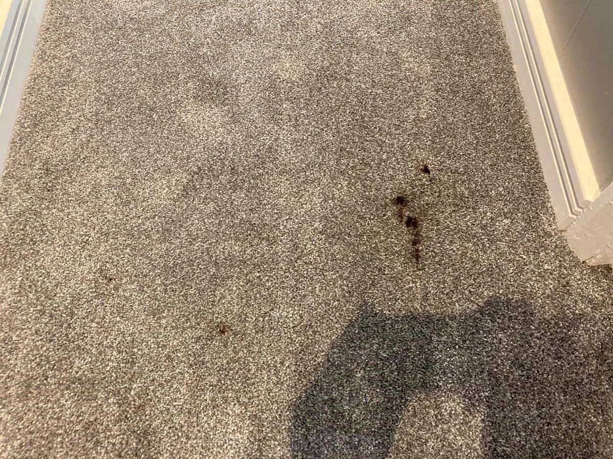 Before — a make-up stain