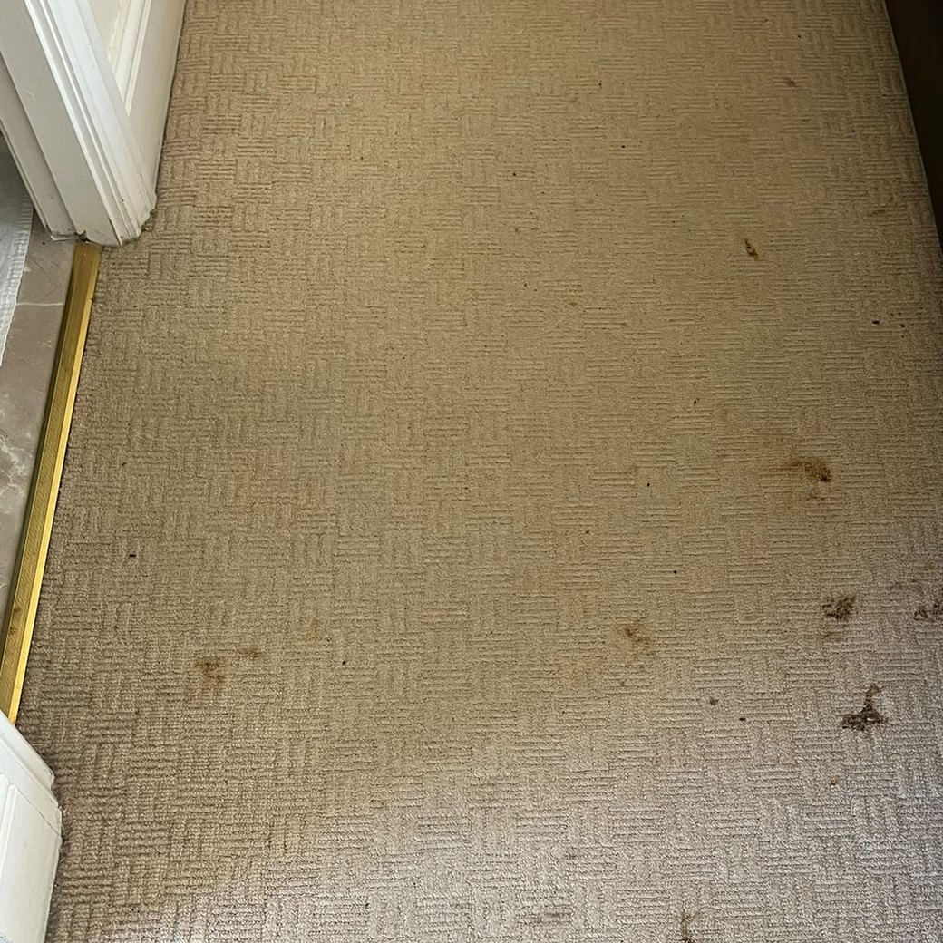 A soiled bedroom carpet before cleaning by Jay's Cleaning